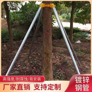 园艺工程树撑绑带护树撑u金属树木支撑架大杆行道套杯抱箍烤漆色