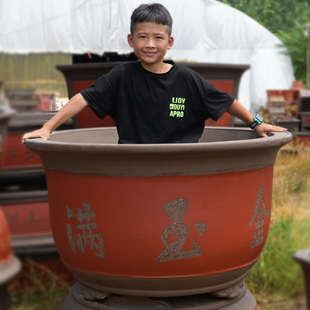 龙缸大花盆陶e瓷家用大型种树庭院室外天台铁树花盆大号特大号超