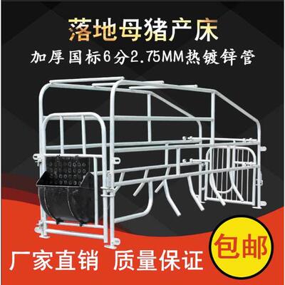 落地式母猪产床 2.75mm定位栏限位栏简易产床猪位一个栏分娩产床