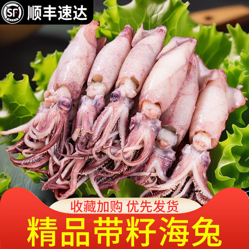 只只满籽乌贼海兔海兔满籽