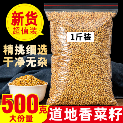 香菜籽500g纯天然0添加