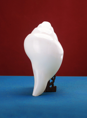 尼泊尔产白海螺佛家右旋生物左旋天然藏式密宗法器家用摆件八供用