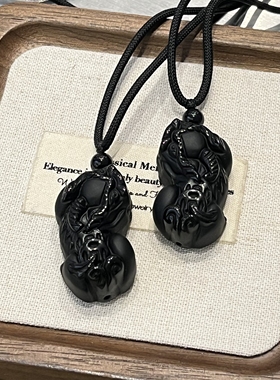 收藏级黑曜石霸王招财貔貅吊坠纯黑磨砂转运生肖项链男女情侣礼物