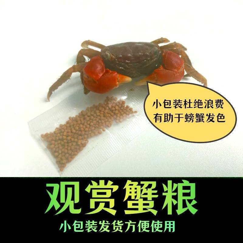 观赏蟹蟹粮活体辣椒蟹相手蟹将军蟹招潮蟹宠物蟹专用饲料