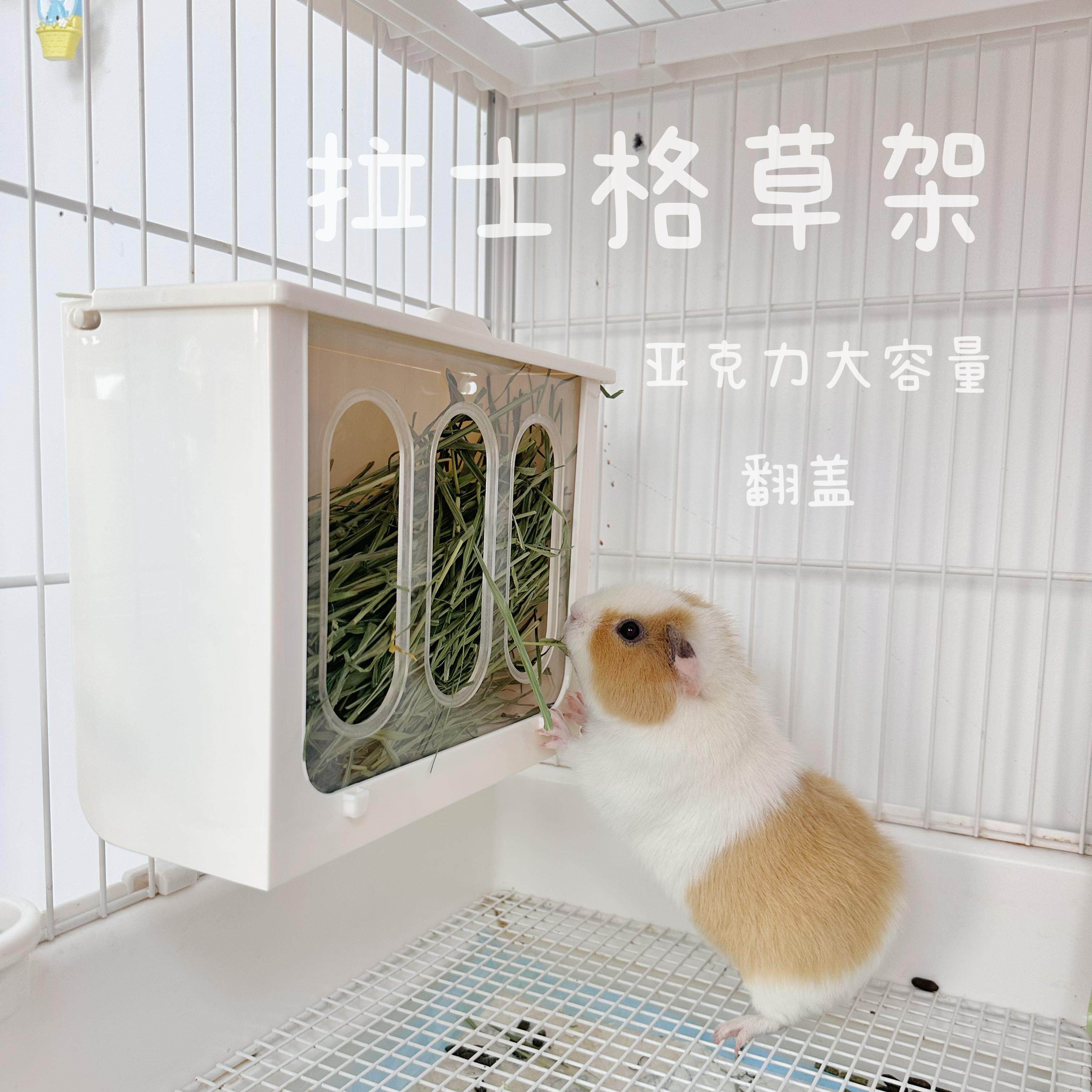 兔兔荷兰猪龙猫拉士格草架图片