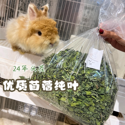 2025年紫花苜蓿草纯叶幼兔营养专用干草兔子吃的粮草烘干苜蓿草