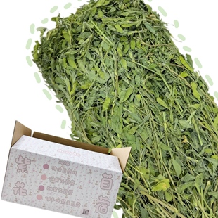 25年头茬 | 新鲜烘干紫花苜蓿1kg毛重幼兔豚鼠荷兰猪成长期营养草