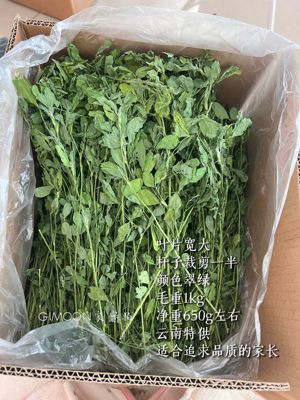 积木兔屋定制大叶鲜绿紫花苜蓿草幼兔子专用食用苜蓿粮草营养箱装