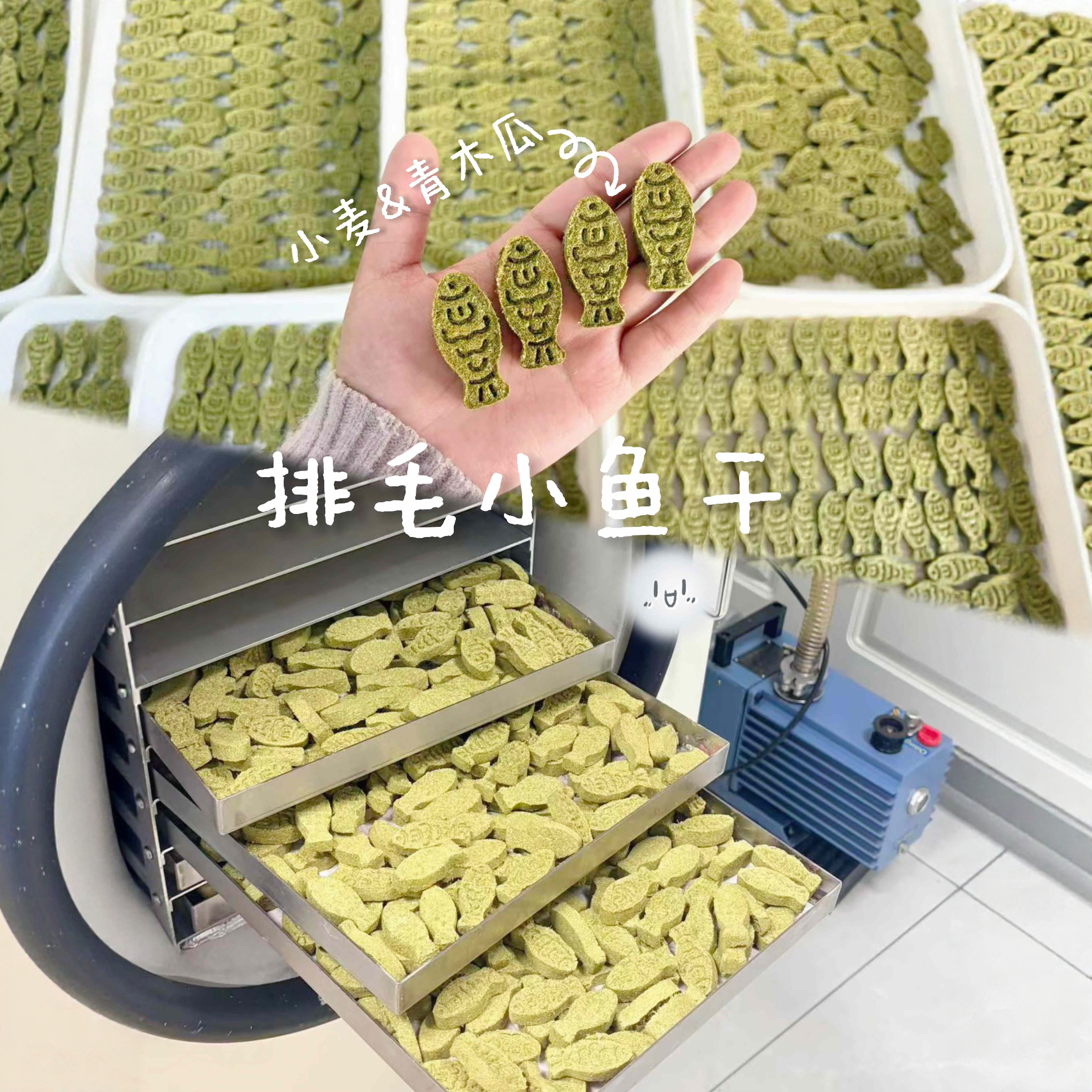 新品！换毛期排毛草饼｜小鱼干｜兔兔猪猪零食