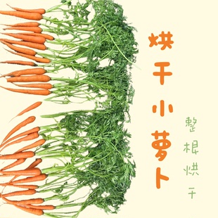 积木兔屋烘干胡萝卜樱宠物干草兔子荷兰猪辅助零食草一株仙草