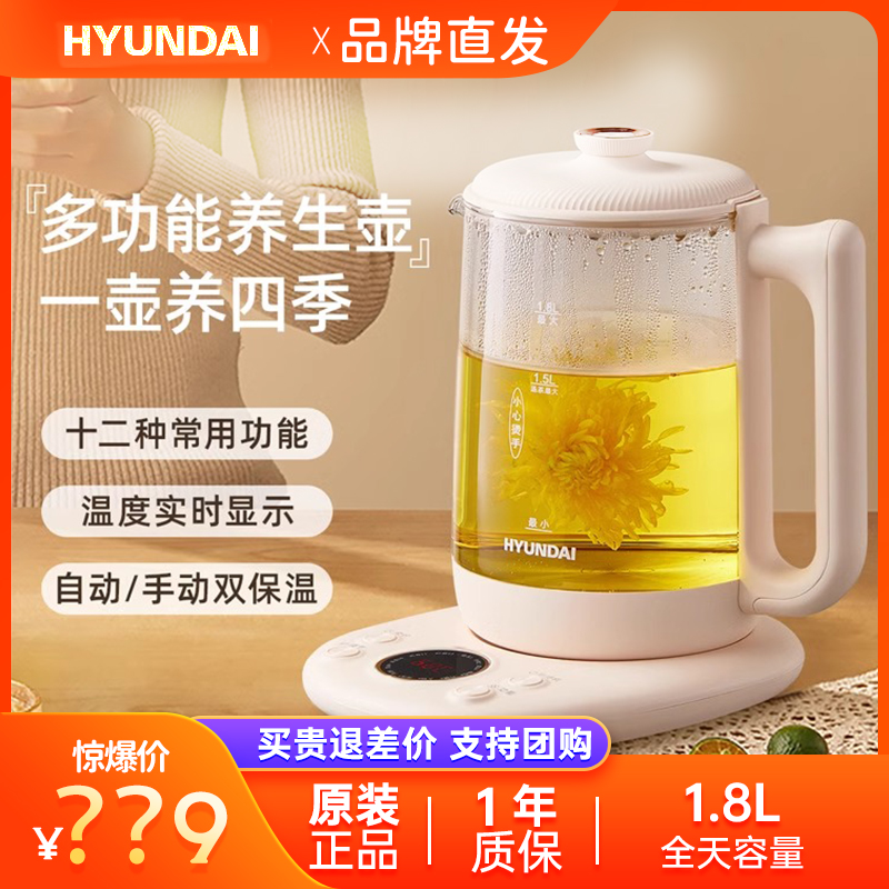 HYUNDAI煮茶器2024新款养生壶
