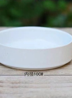 巴西木托盘水仙盆陶瓷巴西木盆托白色陶瓷花盆幸运木水培植物盘托