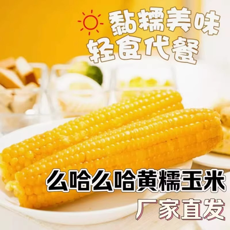 么哈么哈糯玉米正宗東北香甜軟糯黃糯白糯花糯黑糯玉米220g*10支
