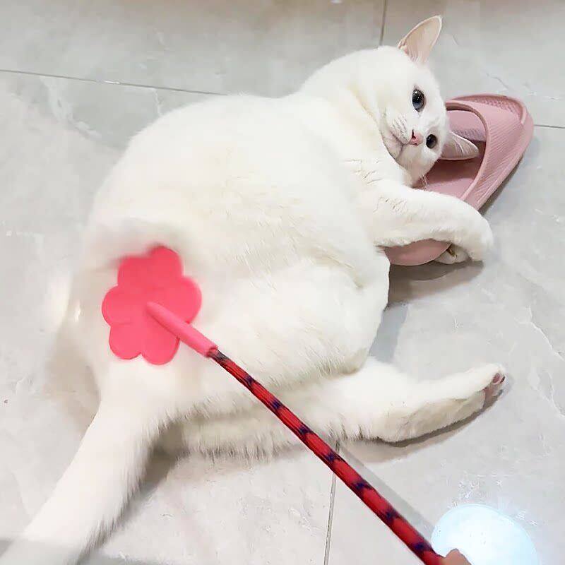 猫咪拍屁股玩具爱心拍子自嗨解闷神器逗猫棒宠物大小狗训练器教育