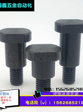 CBDBWH4/5/6/8/10/12俩面平支点台阶螺栓MJK23头部切割型