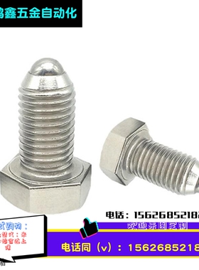 ZAK12 外六角型球头柱塞 BPHH4/5/6/8/10/12/16-10/15/20/30/40