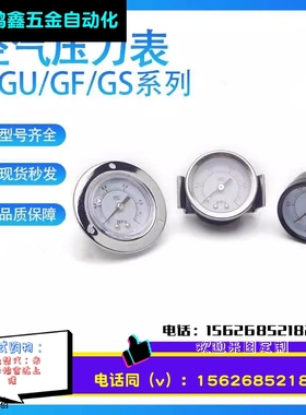 压力表F-GU/GF/GS/4010/4004/5010/5004/6010/6004M仪表