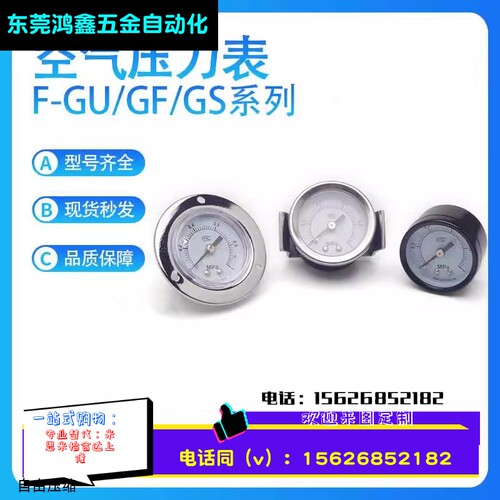 压力表F-GU/GF/GS/4010/4004/5010/5004/6010/6004M仪表