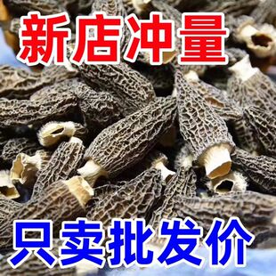 精选干货大号羊肚菌头茬无硫新鲜美味菌菇煲汤菌肉厚食材菌子