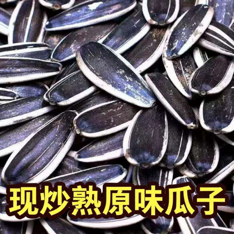 当季新货原味瓜子葵花籽炒熟干炒瓜子大颗粒追剧坚果休闲小零食