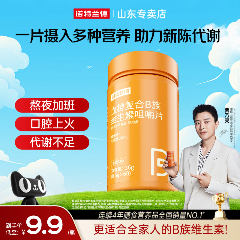 诺特兰德维生素B族咀嚼片