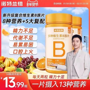 诺特兰德多种维生素B族复合片男女士专用vb维b2b12咀嚼片官方正品