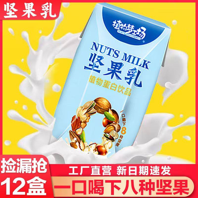 现货速发坚果乳植物核桃花生蛋白饮品混合八种坚果一整箱休闲饮料