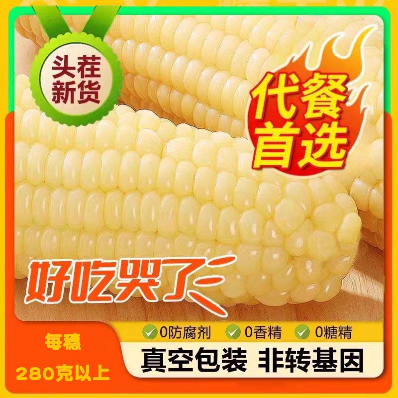 东北白甜糯玉米棒新鲜当季新货甜糯玉米棒真空主食代餐白玉米粗粮
