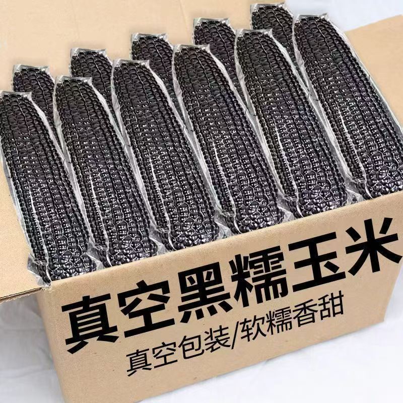【新货速发】真空包装东北黑糯玉米甜糯玉米棒黑玉米非转基因