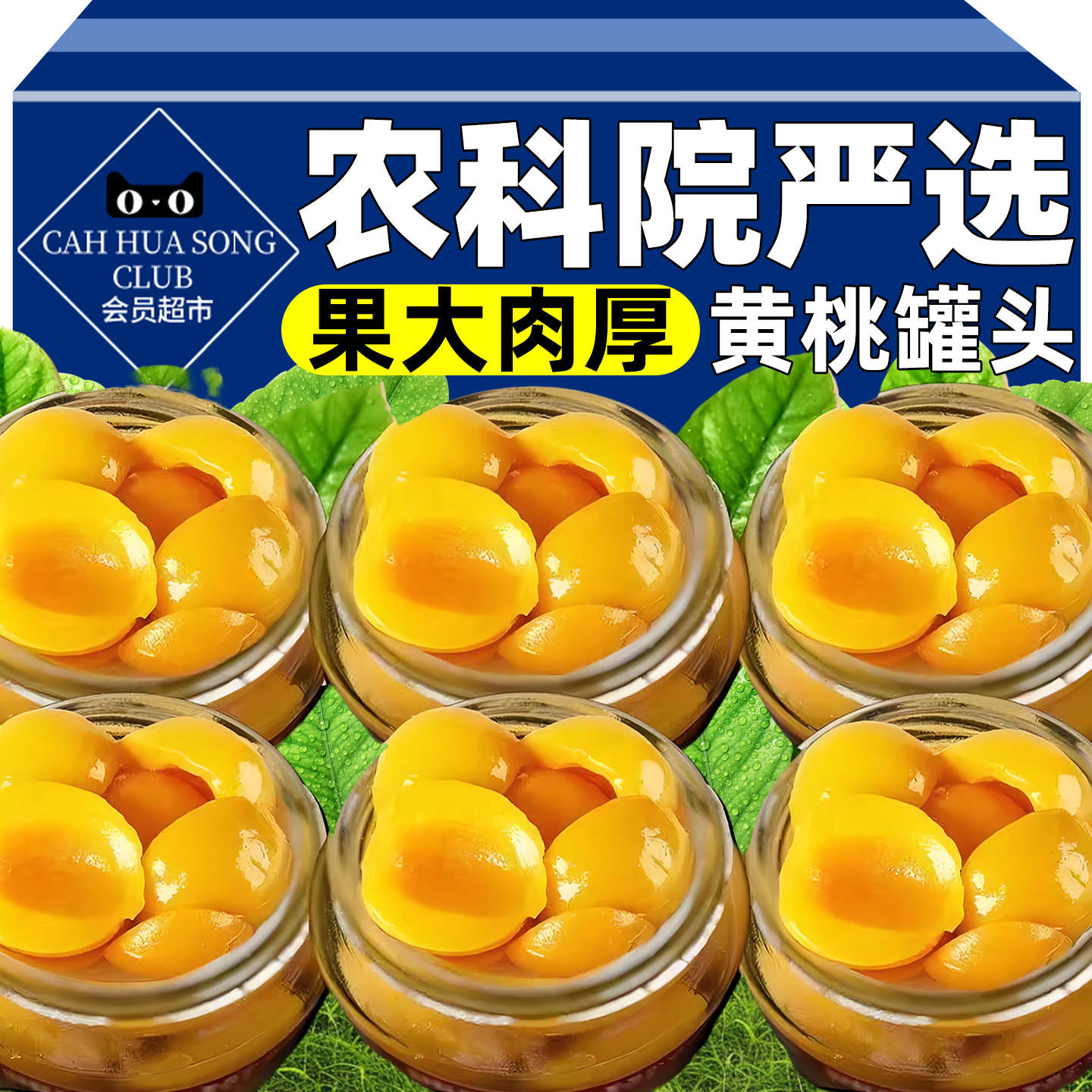 农科院严选正品黄桃罐头砀山特产糖水烘培商用新鲜水果整箱玻璃瓶