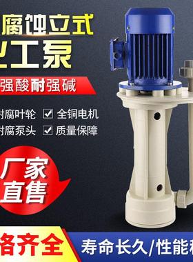 槽内泵FSY电镀防腐蚀耐酸碱泵PP喷淋塔水泵液下循环塑料化工泵