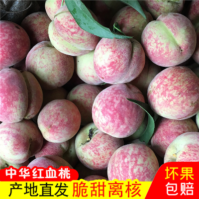 血桃新鲜水果果园现摘湖北应季毛桃水蜜桃整箱脆甜包邮红心脆桃子