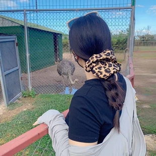 千禧辣妹~秋冬盘发复古豹纹大肠发圈头绳扎头发女新款高弹力发绳