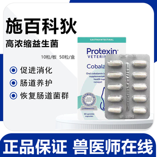 英国肠宝施百科狄 synbiotic高浓缩宠物猫狗狗通用益生菌调理肠胃