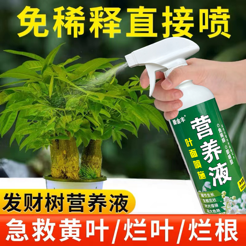 免稀释植物营养液发财树营养液