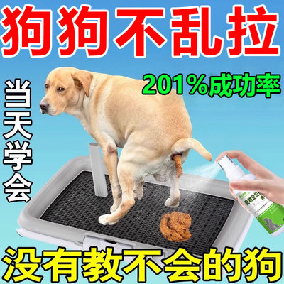 狗狗定点排便神器宠物不乱拉屎上厕所诱导剂引大小便尿垫定点训练