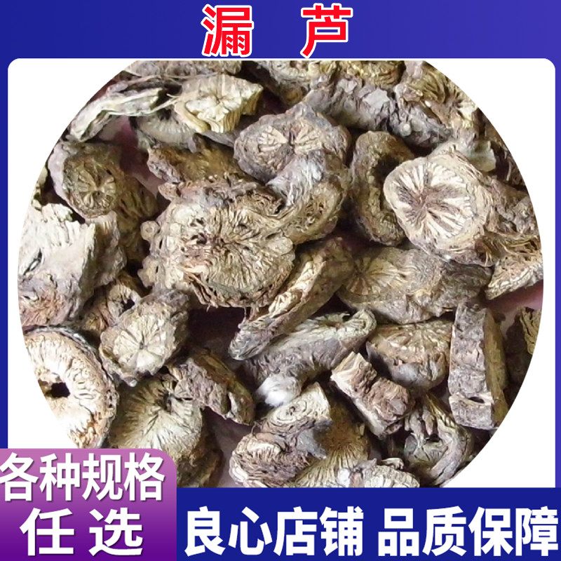 漏芦中药材正品东北野生漏芦 狼头 野兰鬼油麻漏卢 各种规格 包邮