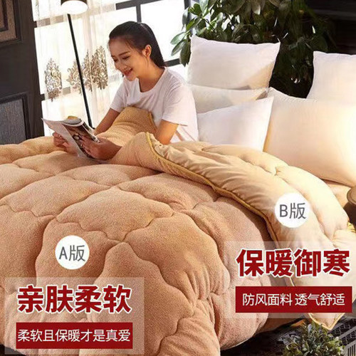 冬季羊羔绒被子冬被加厚保暖被芯
