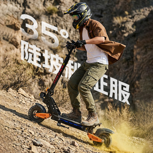 凤凰电动滑板车两轮越野站骑可折叠上班代步车便携式小型踏板车