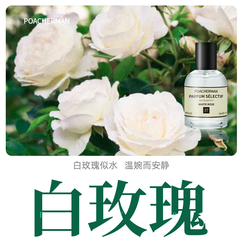 玫瑰花香水 Rose白玫瑰花味的香水玫瑰调蔷薇学生小众香水