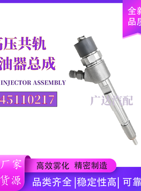 0445110217 0445110218 0986435128 5159970AA 喷油器全新品质
