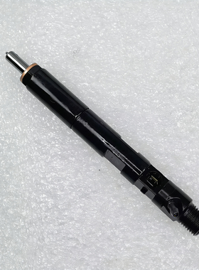 喷油器28237259 166000897R 28232234 EJBR05601D