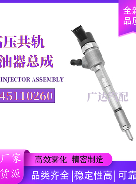 0445110260 全新共轨喷油器0305BC0401N适用于Mahindra 2.5发动机