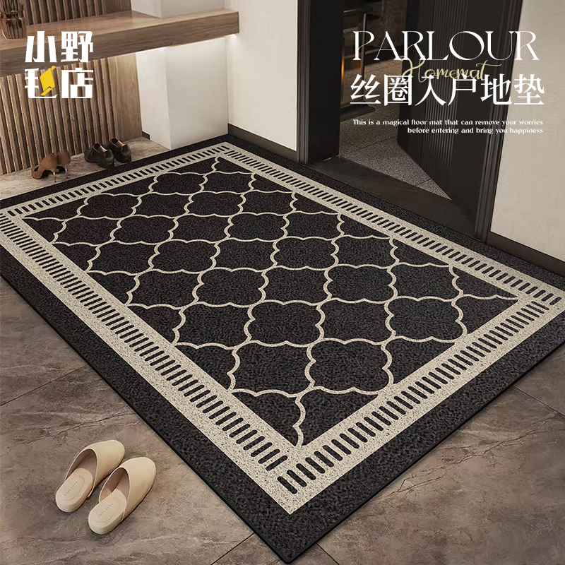 入户门丝圈地垫家用进门脚垫