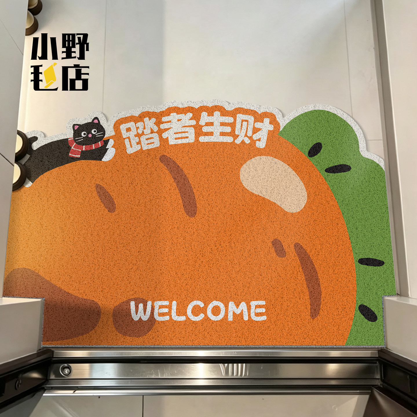 入户门丝圈地垫进门脚垫除尘防滑