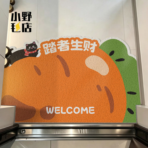 入户门丝圈地垫进门脚垫除尘防滑
