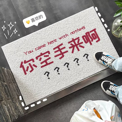 入户门丝圈地垫大门口耐磨防滑垫