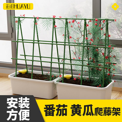 番茄植物花架爬藤支架