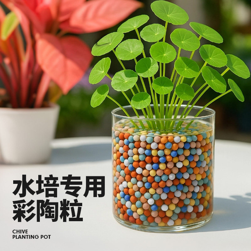 彩陶粒白玉石多肉铺面盆栽水培专用陶土粒花盆装饰彩色养花石头