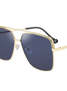 洛伊士偏光防紫外线男士太阳镜